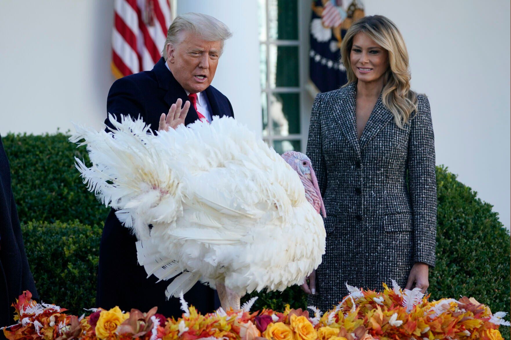 Trump turkey pardon, 2020